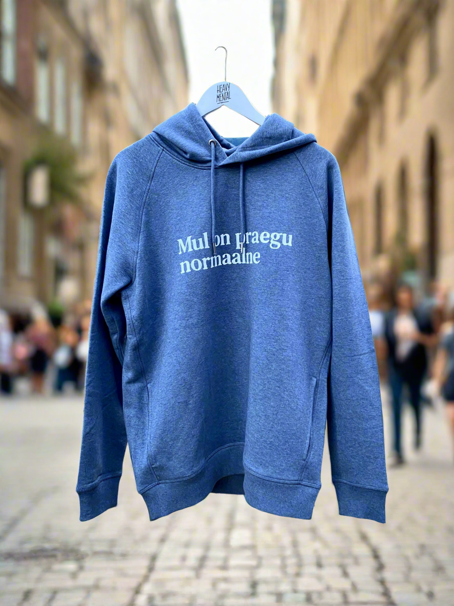 Mul on praegu normaalne