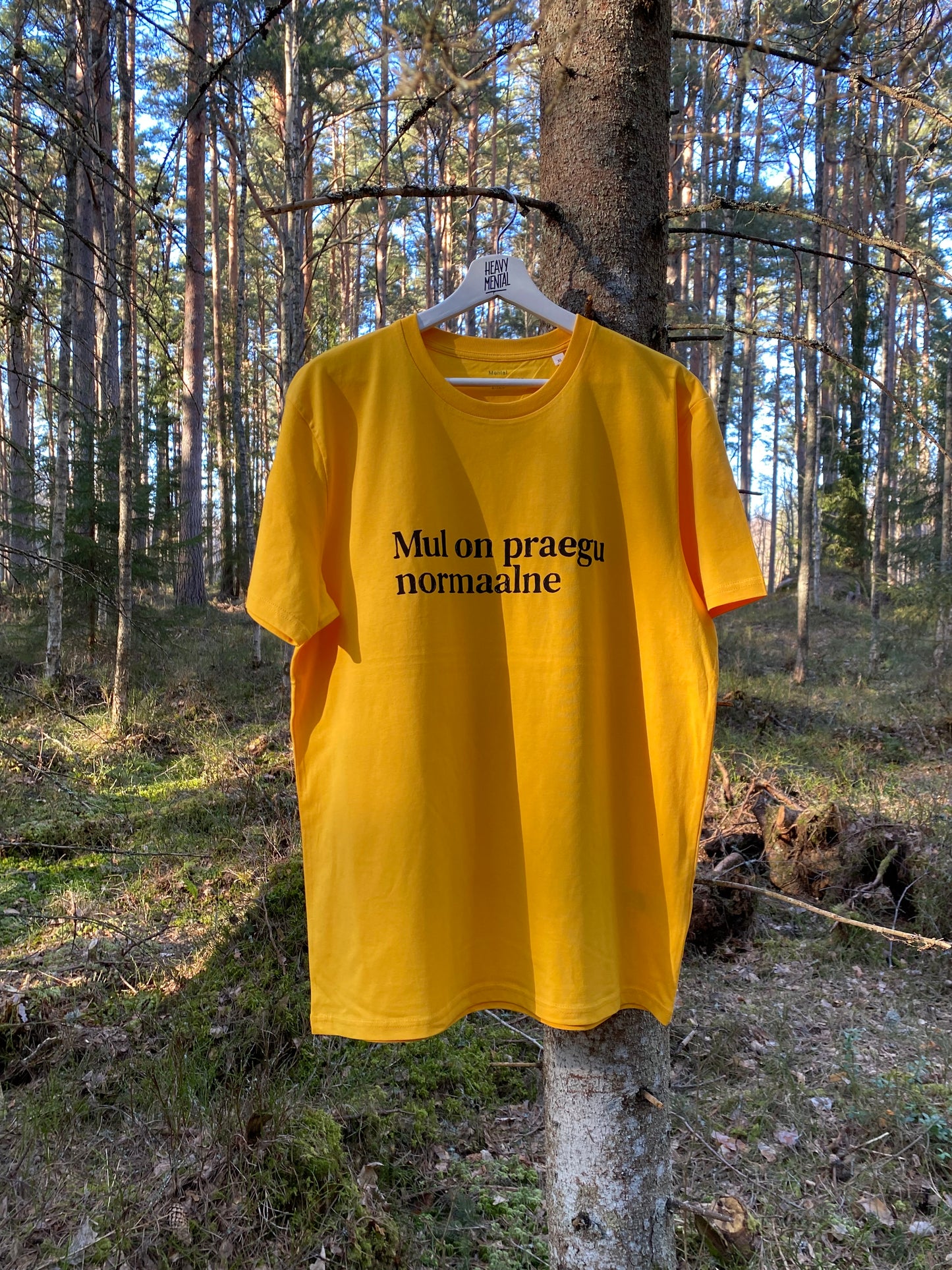 Mul on praegu normaalne