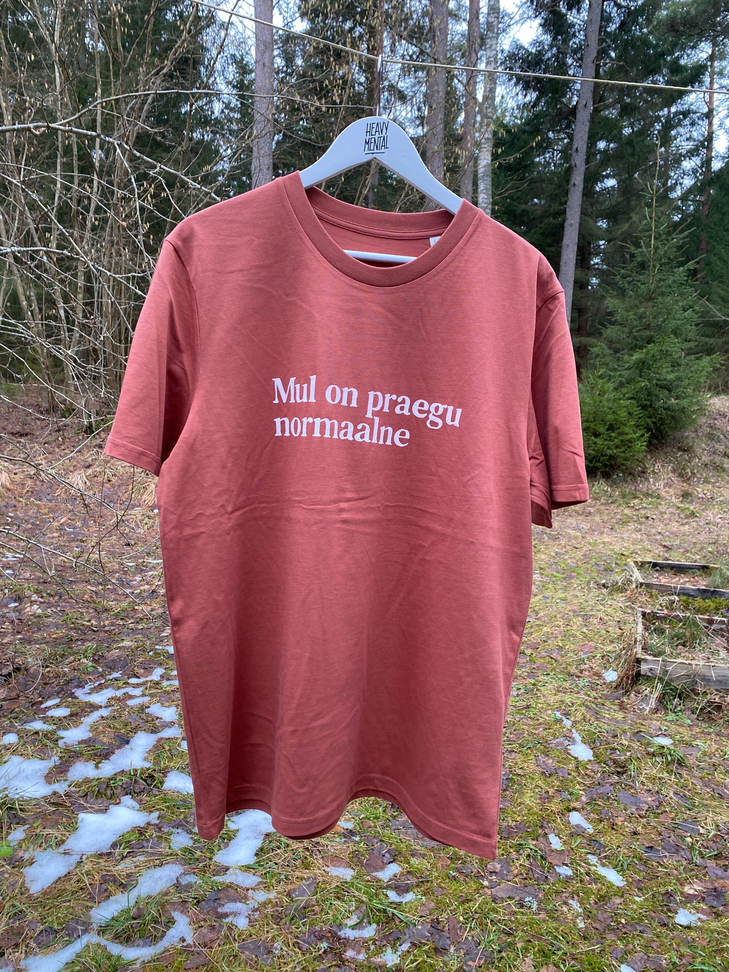 Mul on praegu normaalne