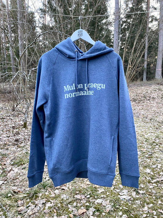 Mul on praegu normaalne
