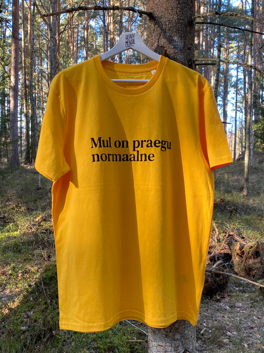 Mul on praegu normaalne
