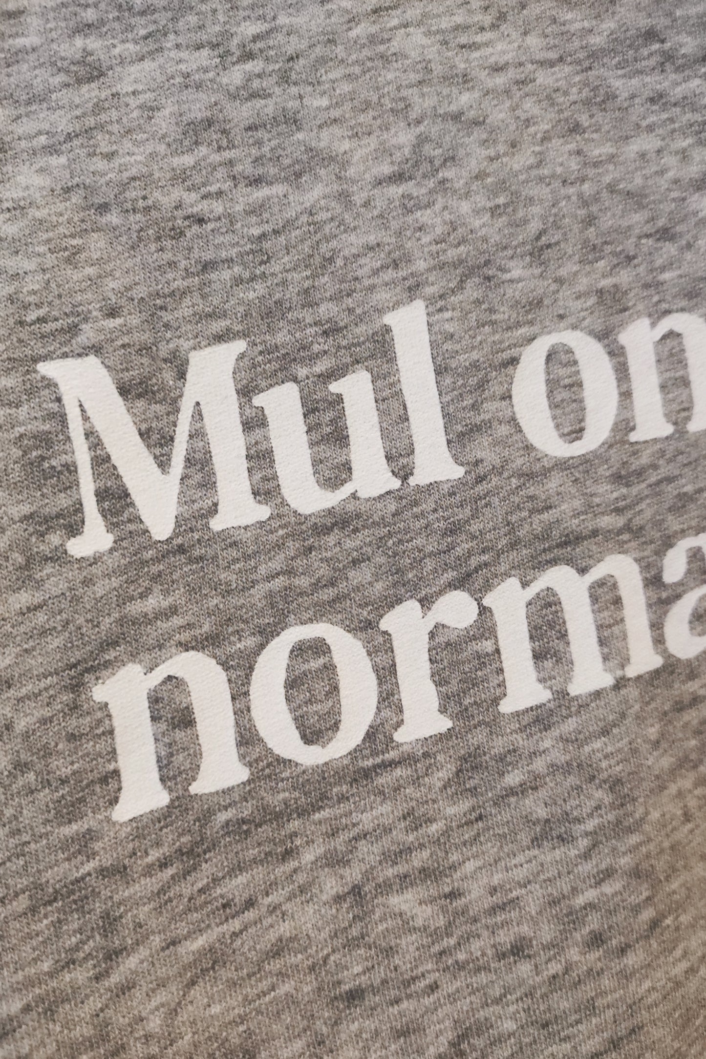 Mul on praegu normaalne №4