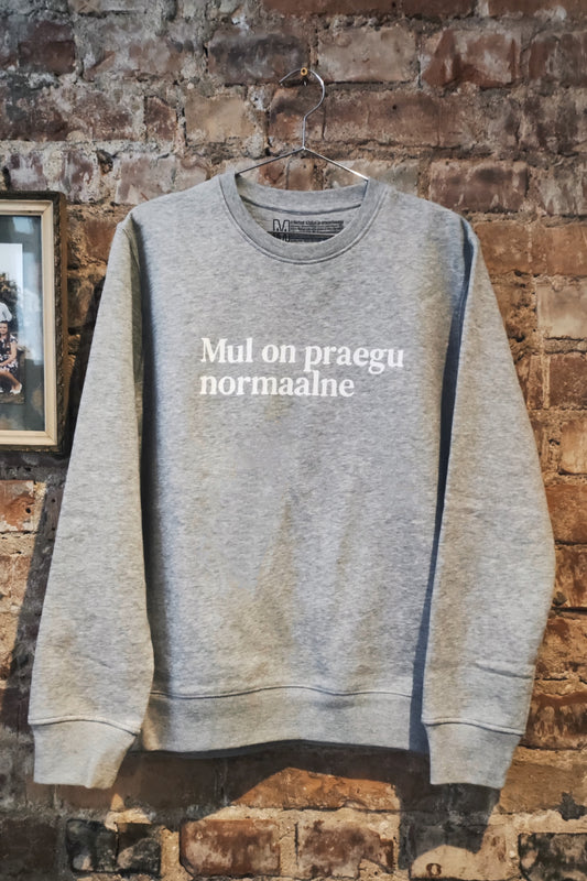 Mul on praegu normaalne №4